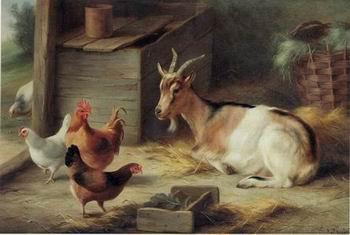 unknow artist poultry  162 oil painting image